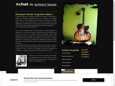 Guiter basse pas cher