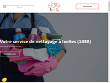 Service de nettoyage à Bruxelles, BSG