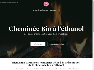 tout sur la cheminee bio ethanol