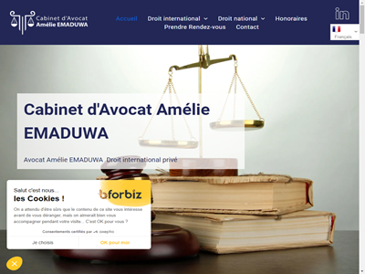 Cabinet d’avocat international à Paris de Maître Amélie Emaduwa