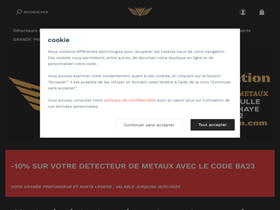 Mission Détection : magasin de détecteur de métaux