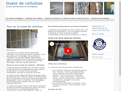 ouate de cellulose