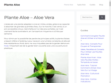 Plante aloe